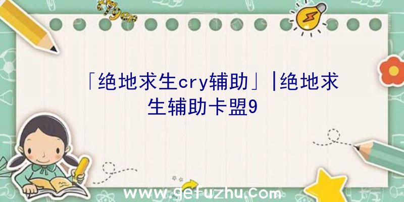 「绝地求生cry辅助」|绝地求生辅助卡盟9